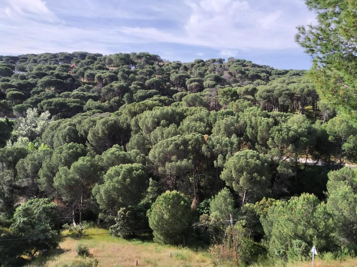 El Mirador De Bacha Appartement San Martín de Valdeiglesias Buitenkant foto